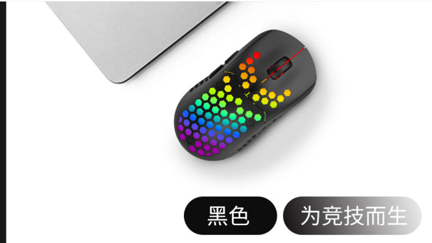 Wireless RGB Gaming Mouse with Mute Function and TYPE-C Interface - LightningZap