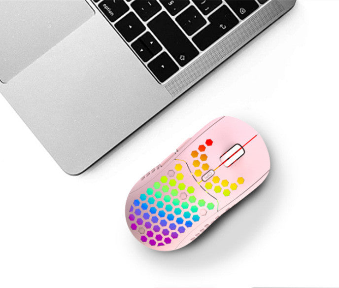 Wireless RGB Gaming Mouse with Mute Function and TYPE-C Interface - LightningZap