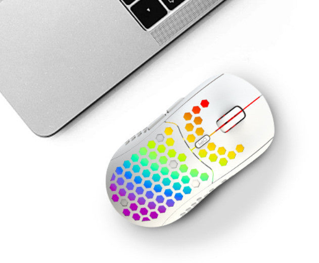 Wireless RGB Gaming Mouse with Mute Function and TYPE-C Interface - LightningZap