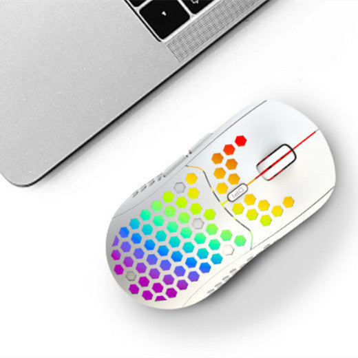 Wireless RGB Gaming Mouse with Mute Function and TYPE-C Interface - LightningZap